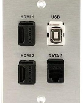 W1410F-CA (2) HDMI Key, USB 2.0 BA and RJ45-CAT6 Wall Plate (Clear Anodized) For Cheap